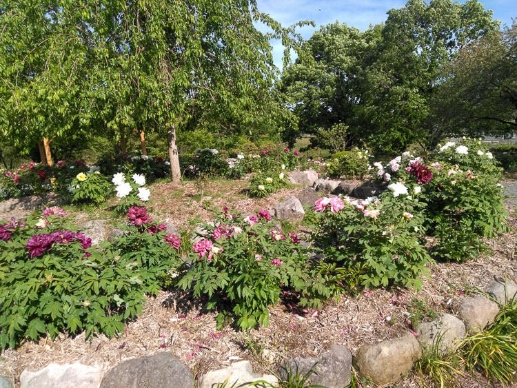 ぬくもりの里「桃源郷」