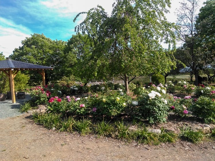 ぬくもりの里「桃源郷」