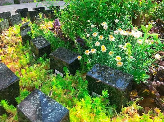 樹木葬 善行院 西陣庭苑