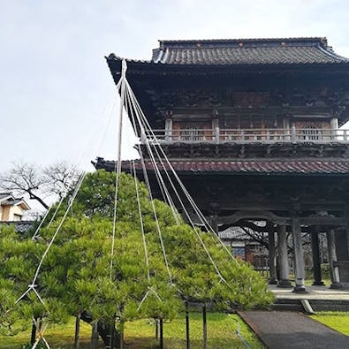 宝光寺 のうこつぼ