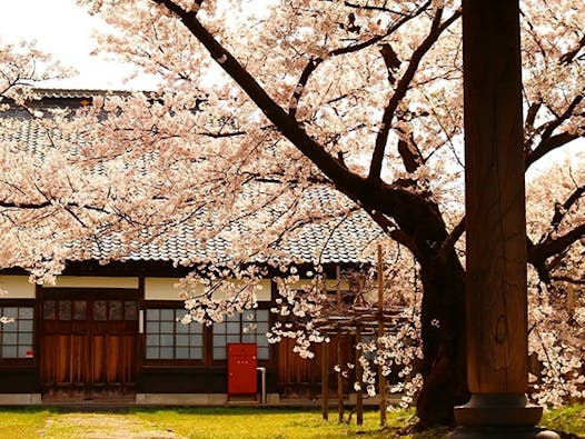 宝光寺 のうこつぼ