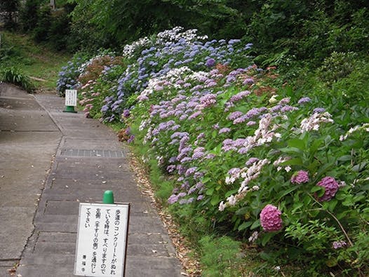 このがわ千年精舎 高龍山 善福寺