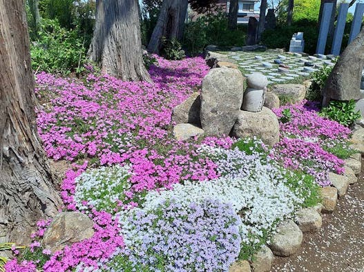 公園墓地「あじさいの杜霊園」