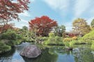 日本庭園陵墓 紅葉亭【永代供養墓・樹木葬】 日本庭園をぐるりと一周できる園内風景