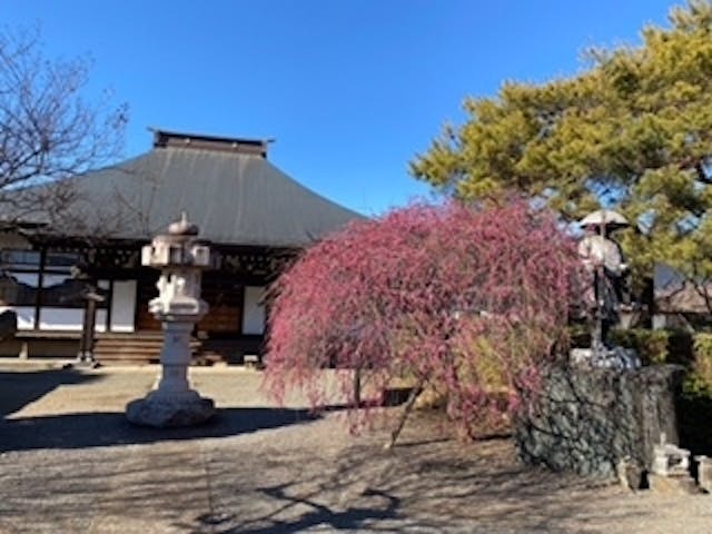 円通寺・一般墓