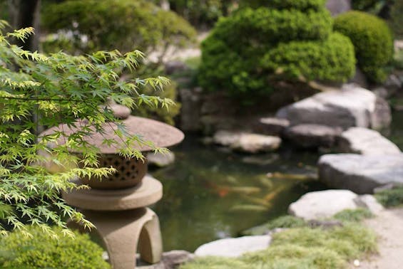 龍善寺 永代供養墓「光明廟」