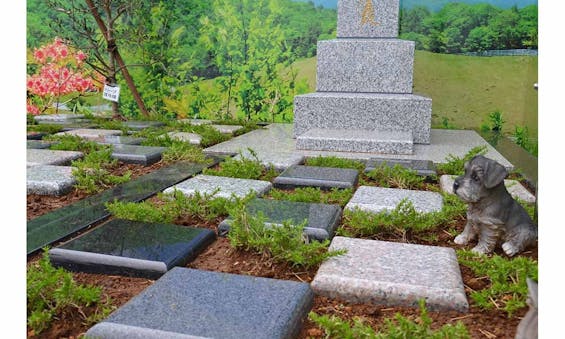 あんしん樹木葬 ~天空~