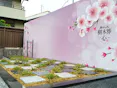 あんしん樹木葬 ～心～