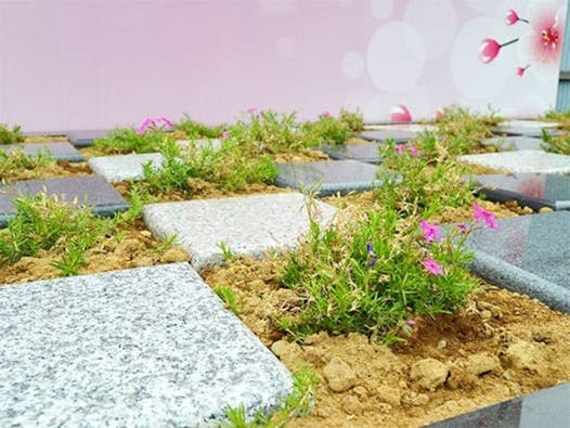 あんしん樹木葬 ~心~