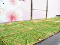 あんしん樹木葬 ～心～
