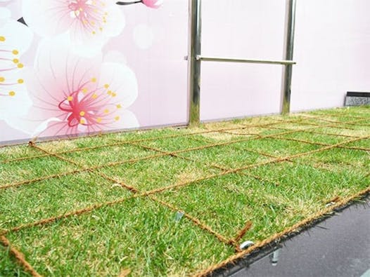 あんしん樹木葬 ~心~