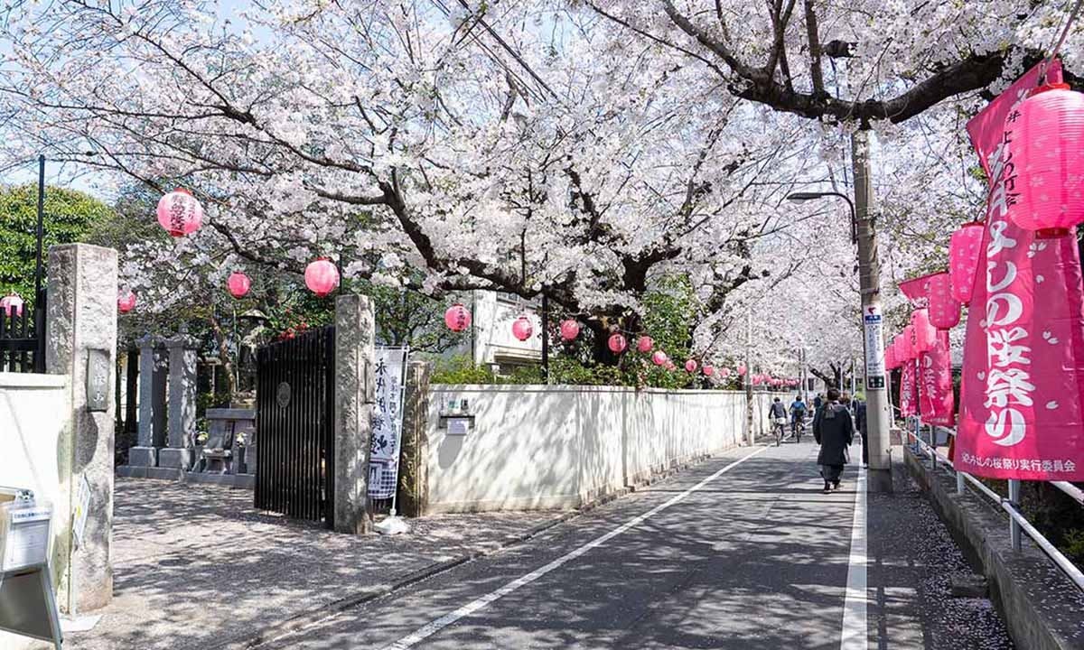 サクラテラスそめい 樹木葬の画像