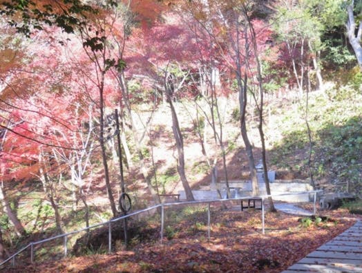 尾張のもみじでら 寂光院 もみじ樹木葬地「同行二人」