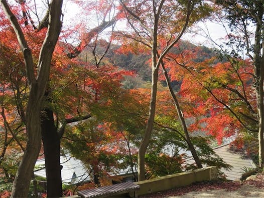 尾張のもみじでら 寂光院 もみじ樹木葬地「同行二人」