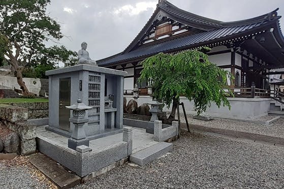 【みさりん】新品　地方自治60周年記念　栃木県・北海道 Amazon.co.jp: 養命酒製造 家醸本みりん 360ml 【信州産もち米