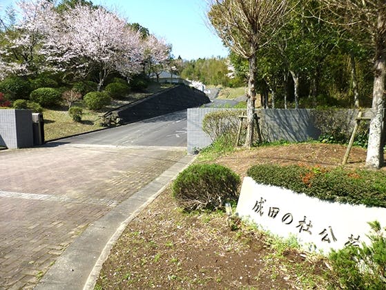 成田の杜公苑 樹木葬墓