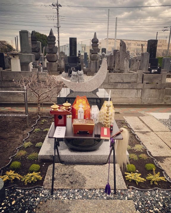 常然寺 樹木葬永代供養墓「紫苑」