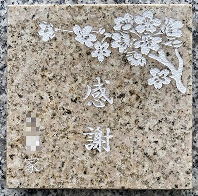 常然寺 樹木葬永代供養墓「紫苑」