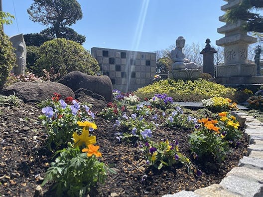常然寺 樹木葬永代供養墓「紫苑」