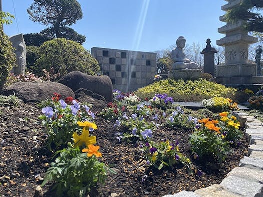 常然寺 樹木葬永代供養墓「紫苑」