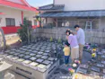 プレミアムおやま思川樹木葬墓地
