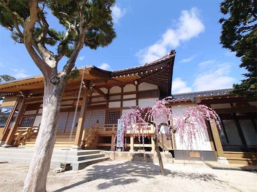 龍善寺 のうこつぼ