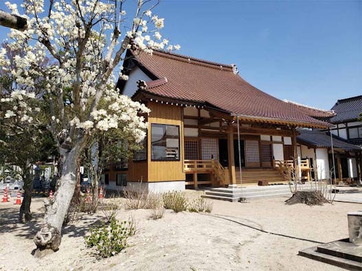 龍善寺 のうこつぼ