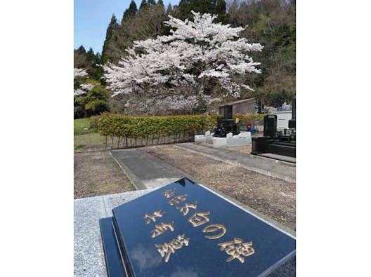 仙台 太白の碑 共有墓