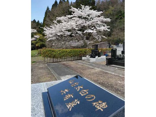 仙台 太白の碑 共有墓