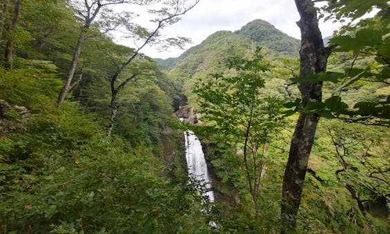 仙台 太白の碑 共有墓