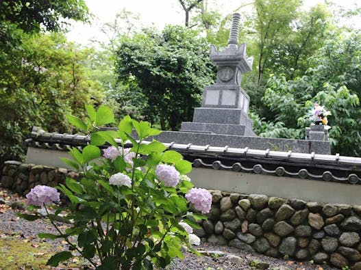 新義真言宗 大本山 誕生院 樹木葬永代供養墓