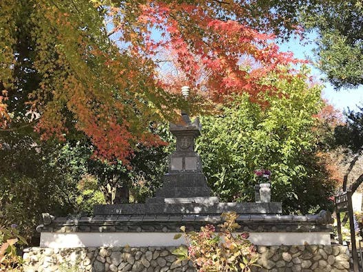 新義真言宗 大本山 誕生院 樹木葬永代供養墓