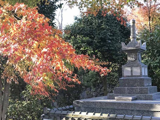 新義真言宗 大本山 誕生院 樹木葬永代供養墓