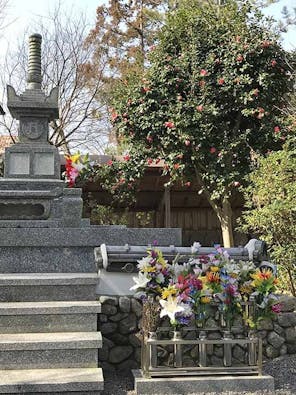 新義真言宗 大本山 誕生院 樹木葬永代供養墓