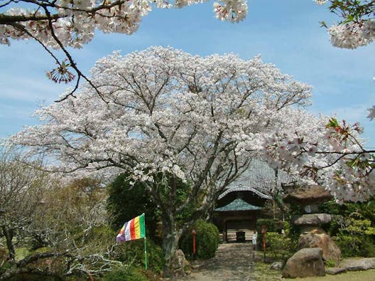 新義真言宗 大本山 誕生院 樹木葬永代供養墓