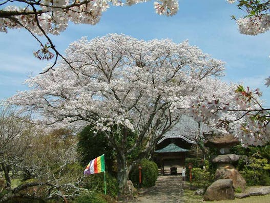 新義真言宗 大本山 誕生院 樹木葬永代供養墓