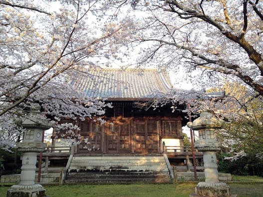 新義真言宗 大本山 誕生院 樹木葬永代供養墓