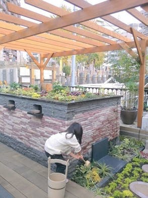 恵光メモリアル新宿浄苑 ペットと眠る樹木葬「テッセラ」