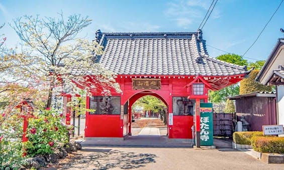 大慶寺 永代供養墓・樹木葬