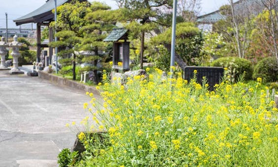 玉泉寺 永代供養墓・樹木葬