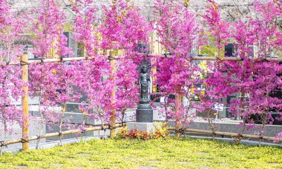 玉泉寺 永代供養墓・樹木葬