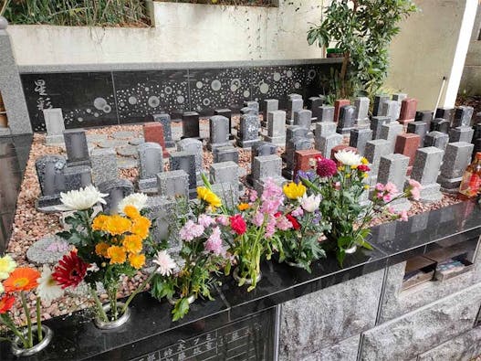 本長寺 樹木葬「星影~ほしかげ~」