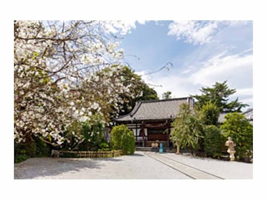 本長寺 樹木葬「星彩～せいさい～」