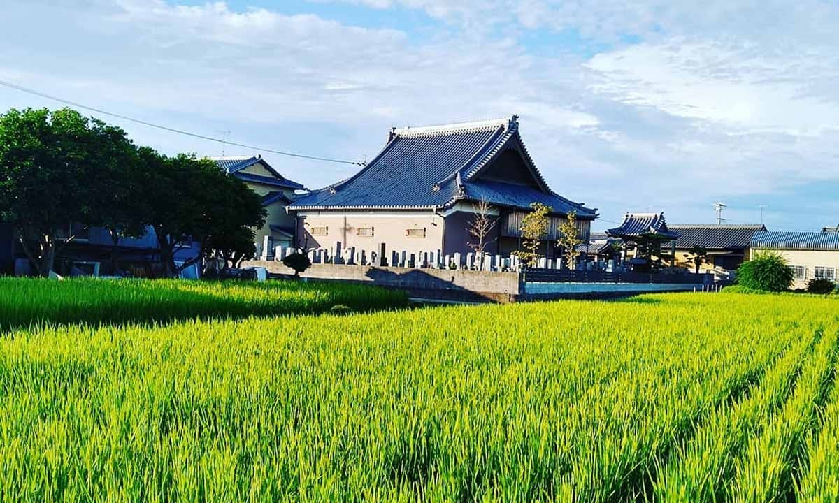 潮音寺 永代供養樹木葬「結びの丘」