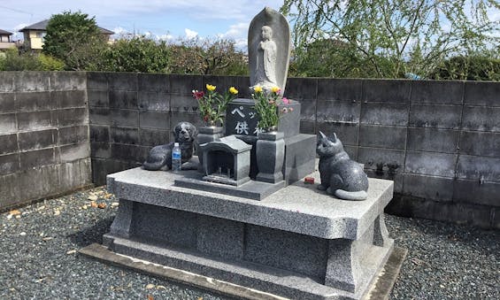 曹洞宗 龍祥山 養福寺