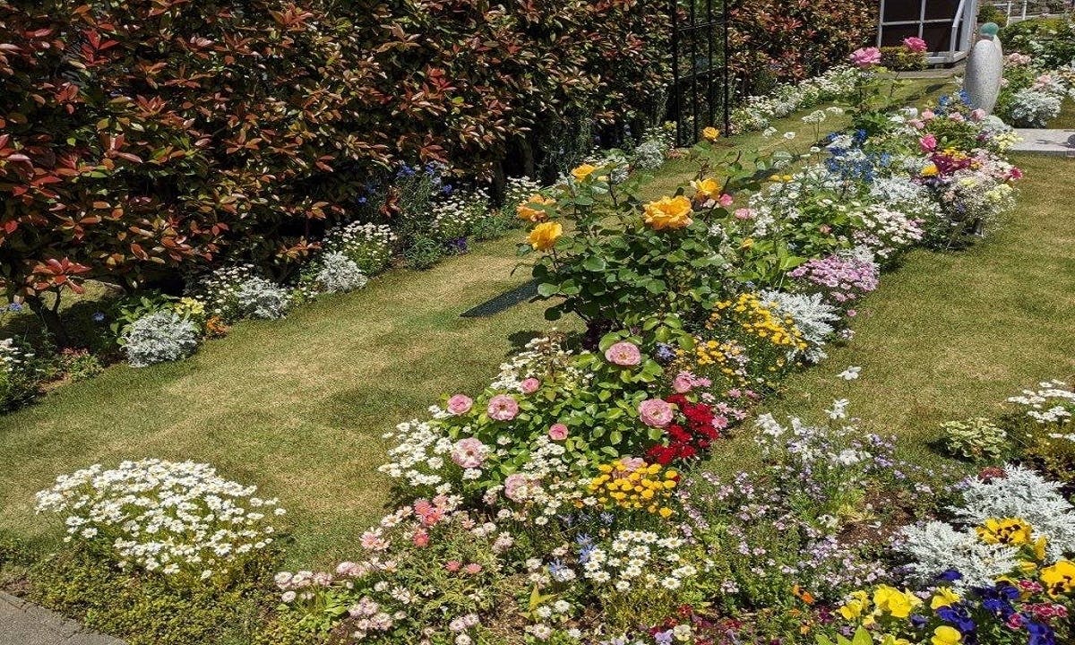 板橋樹木葬 ほほえみの樹
