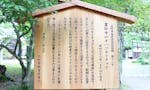 霊松寺 救世霊園 大町市天然記念物の「オハツキイチョウ」