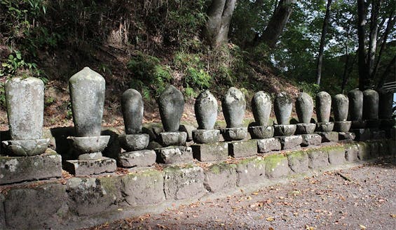 安国寺 杜の墓地