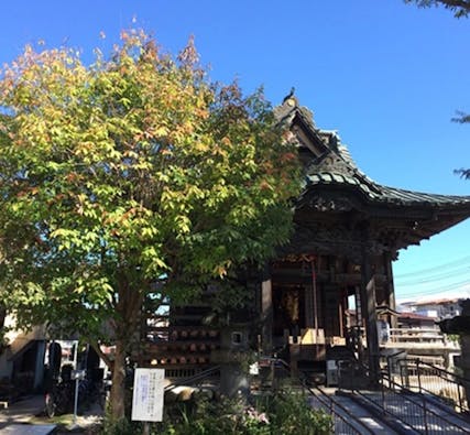 慈眼寺 樹木葬「お花畑の霊園」