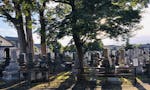 西蓮寺 のうこつぼ 墓地風景